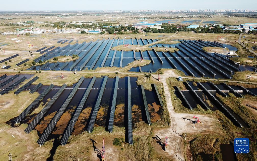 捕鱼游戏寻鱼决
